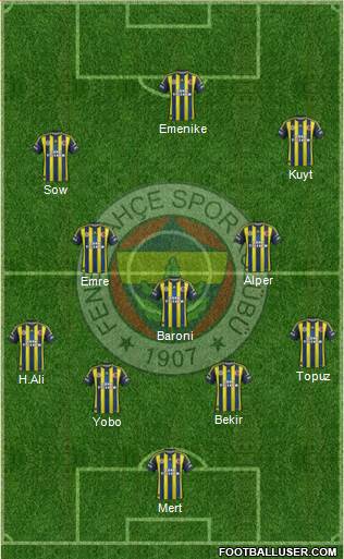 Fenerbahçe SK Formation 2013