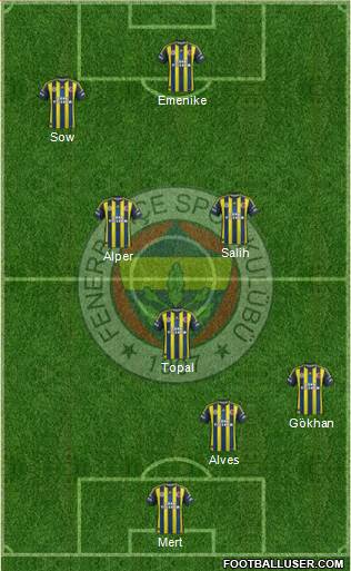 Fenerbahçe SK Formation 2013