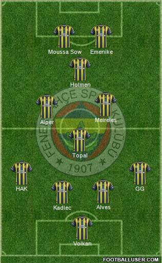 Fenerbahçe SK Formation 2013