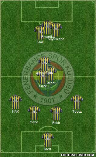 Fenerbahçe SK Formation 2013