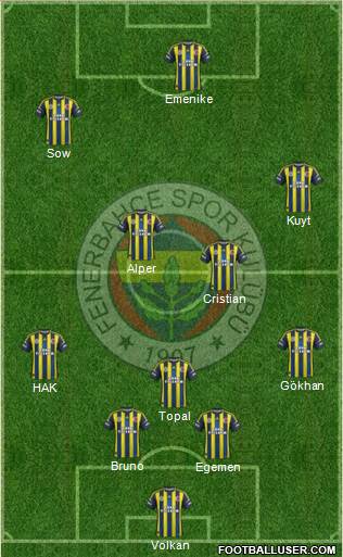 Fenerbahçe SK Formation 2013