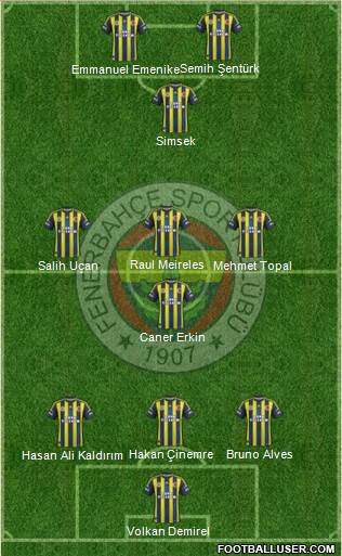 Fenerbahçe SK Formation 2013