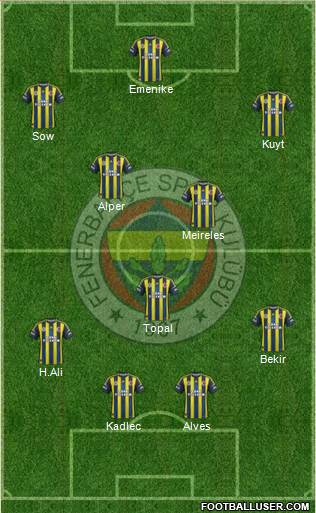 Fenerbahçe SK Formation 2013