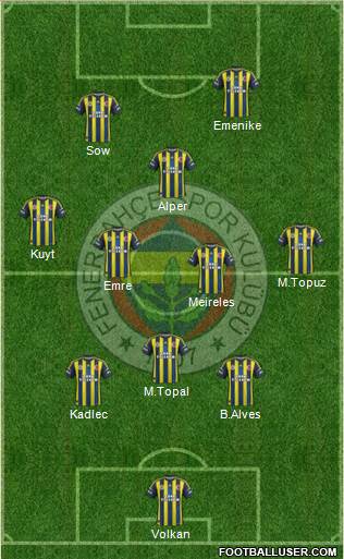 Fenerbahçe SK Formation 2013