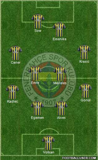 Fenerbahçe SK Formation 2013