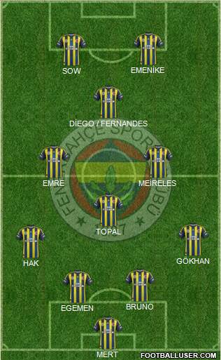 Fenerbahçe SK Formation 2013