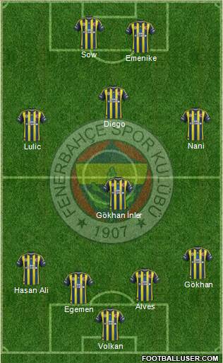 Fenerbahçe SK Formation 2013