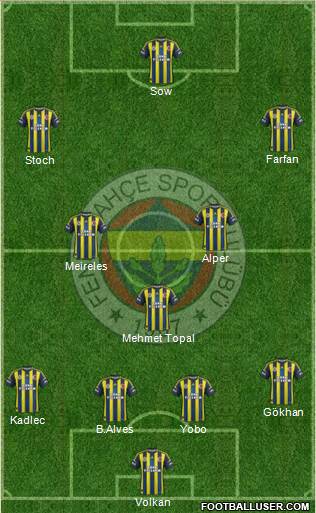 Fenerbahçe SK Formation 2013