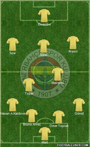 Fenerbahçe SK Formation 2013