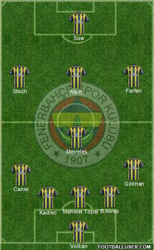 Fenerbahçe SK Formation 2013