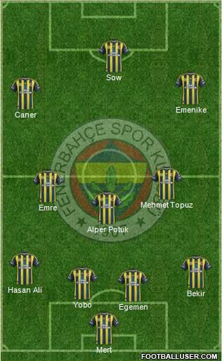 Fenerbahçe SK Formation 2013