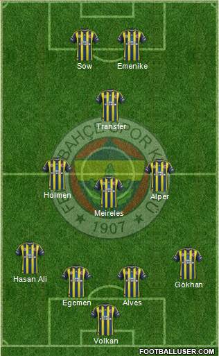 Fenerbahçe SK Formation 2013