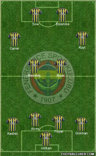 Fenerbahçe SK Formation 2013