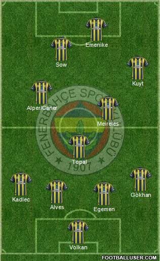 Fenerbahçe SK Formation 2013