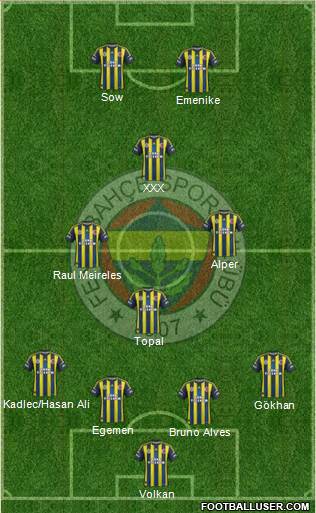 Fenerbahçe SK Formation 2013