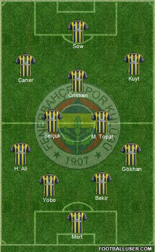 Fenerbahçe SK Formation 2013