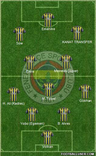 Fenerbahçe SK Formation 2013