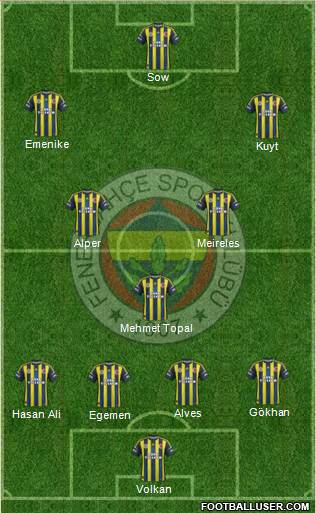 Fenerbahçe SK Formation 2013
