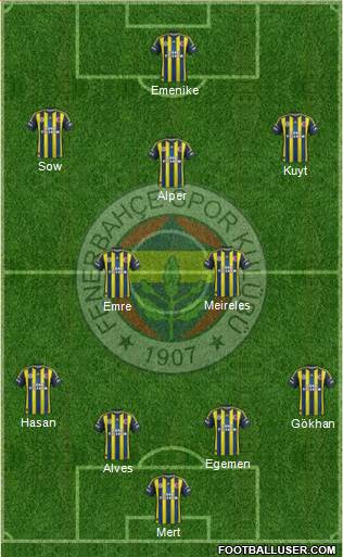 Fenerbahçe SK Formation 2013