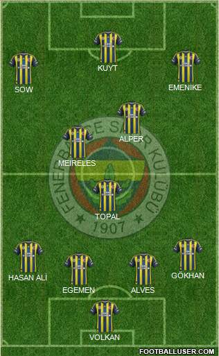 Fenerbahçe SK Formation 2013