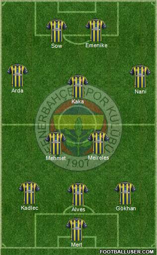 Fenerbahçe SK Formation 2013