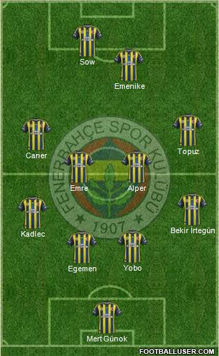 Fenerbahçe SK Formation 2013