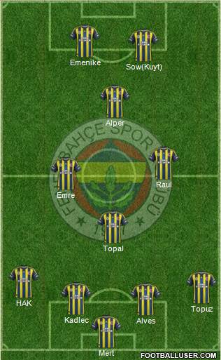 Fenerbahçe SK Formation 2013