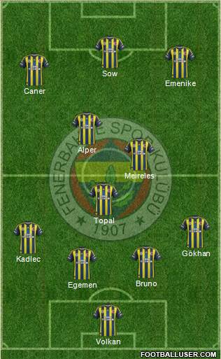 Fenerbahçe SK Formation 2013