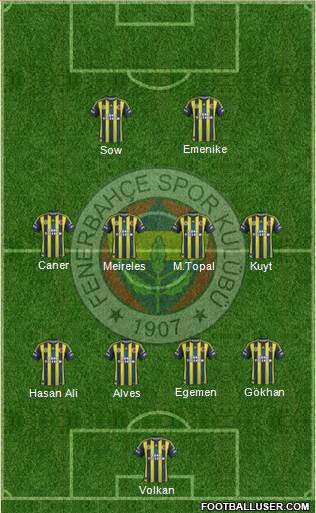 Fenerbahçe SK Formation 2013