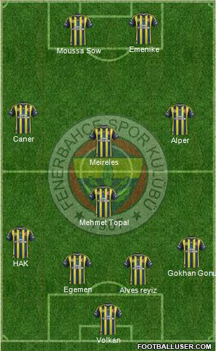 Fenerbahçe SK Formation 2013