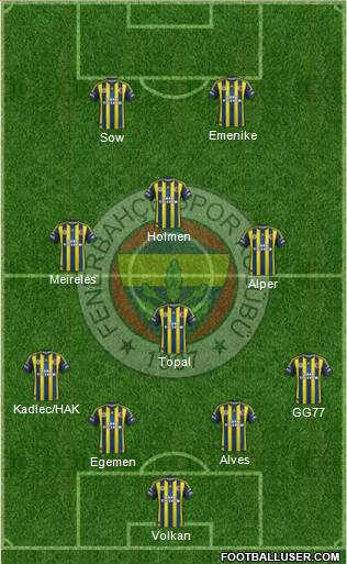 Fenerbahçe SK Formation 2013