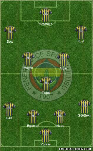 Fenerbahçe SK Formation 2013