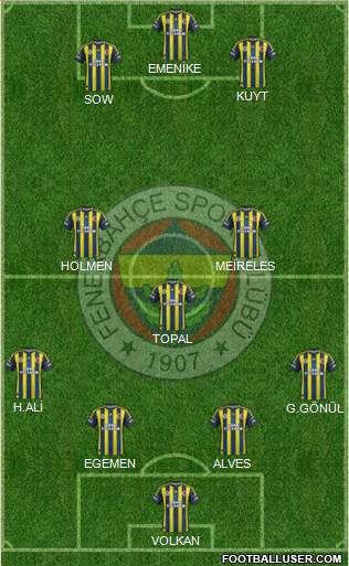 Fenerbahçe SK Formation 2013