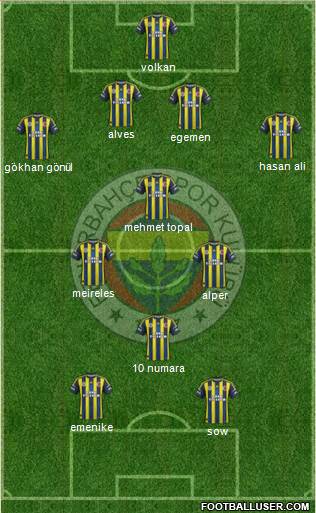 Fenerbahçe SK Formation 2013