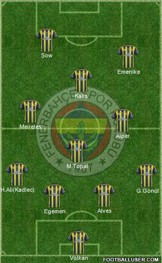 Fenerbahçe SK Formation 2013