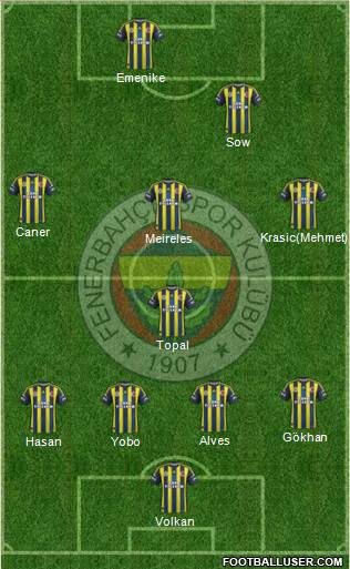 Fenerbahçe SK Formation 2013