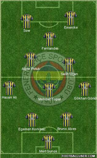 Fenerbahçe SK Formation 2013