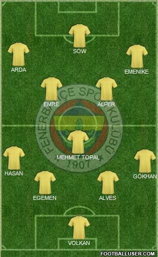 Fenerbahçe SK Formation 2013