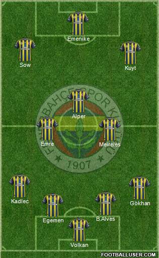 Fenerbahçe SK Formation 2013