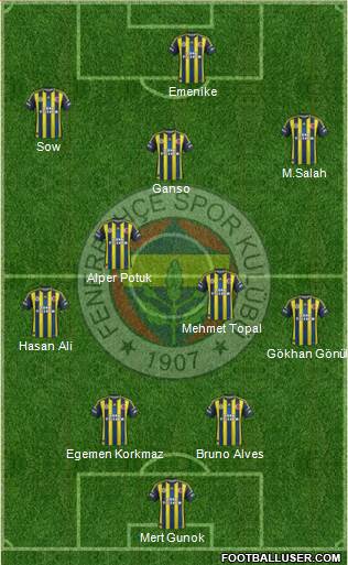 Fenerbahçe SK Formation 2013