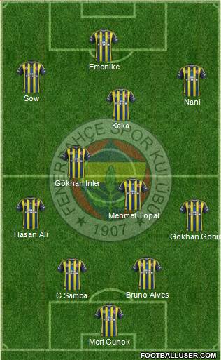 Fenerbahçe SK Formation 2013