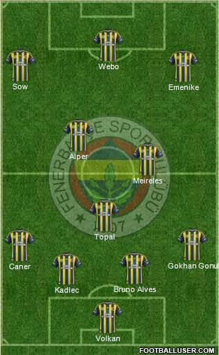 Fenerbahçe SK Formation 2013