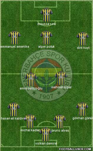 Fenerbahçe SK Formation 2013