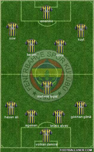 Fenerbahçe SK Formation 2013