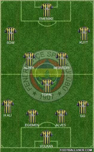 Fenerbahçe SK Formation 2013