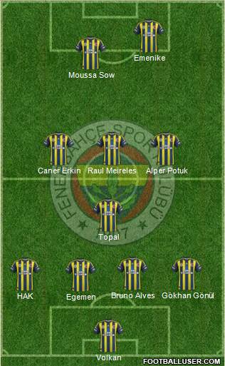 Fenerbahçe SK Formation 2013