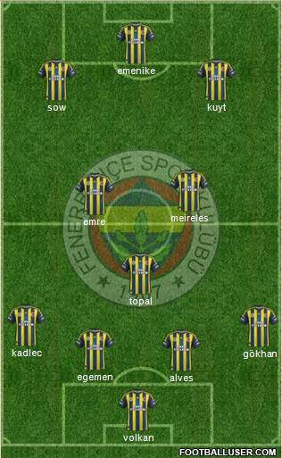 Fenerbahçe SK Formation 2013