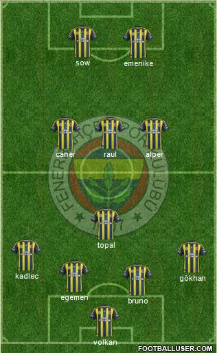 Fenerbahçe SK Formation 2013