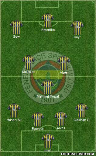 Fenerbahçe SK Formation 2013