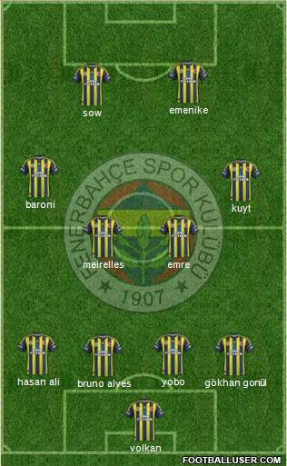 Fenerbahçe SK Formation 2013